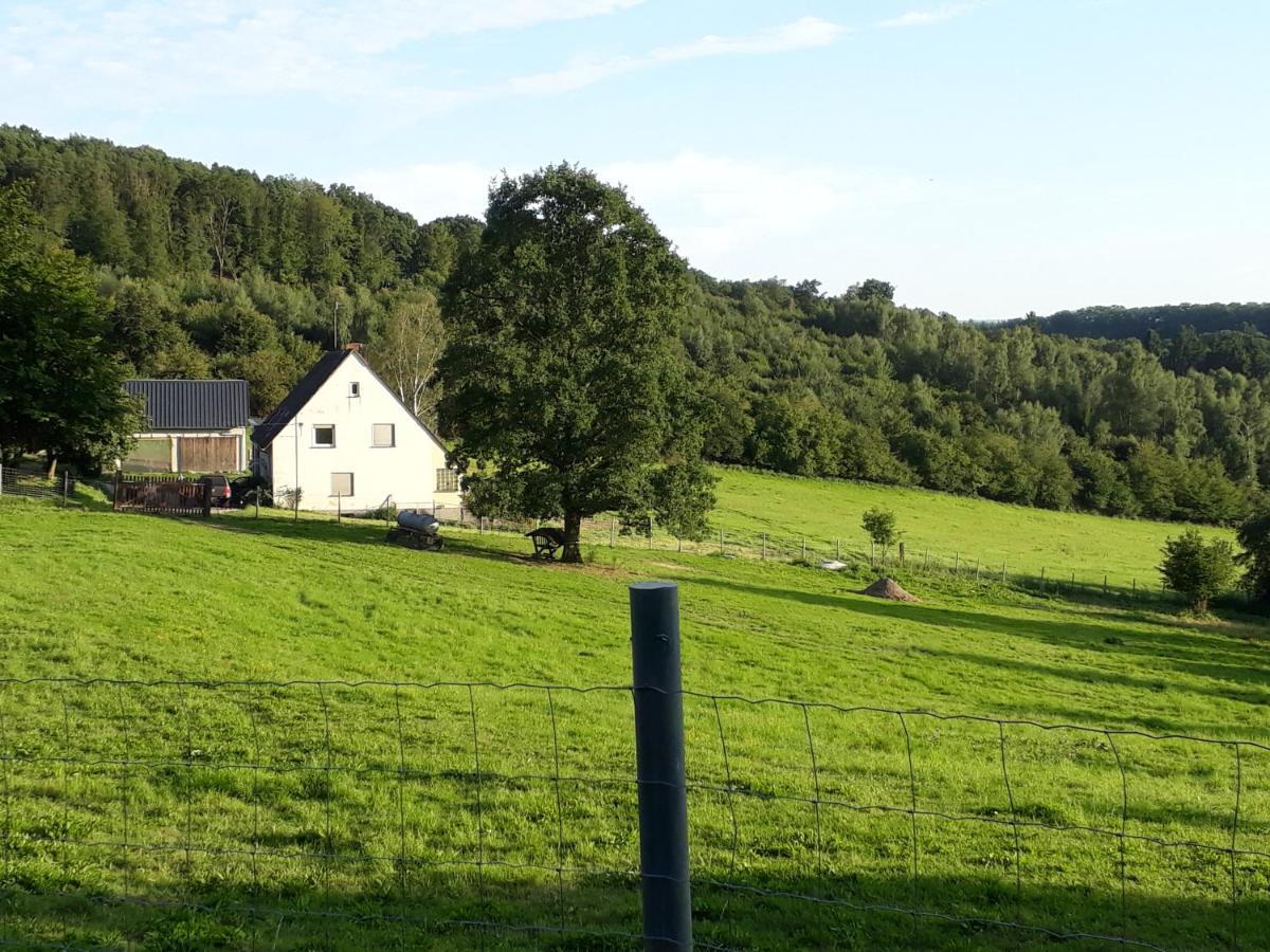 Ferienwohnung Eiernest Briedeler Heck Buitenkant foto