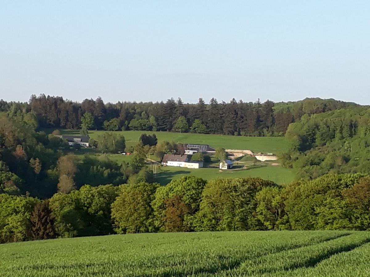 Ferienwohnung Eiernest Briedeler Heck Buitenkant foto